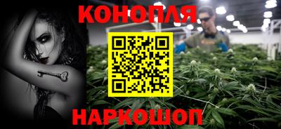сатива Шахты