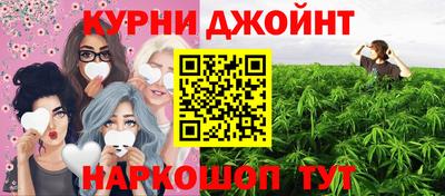 сатива Шахты